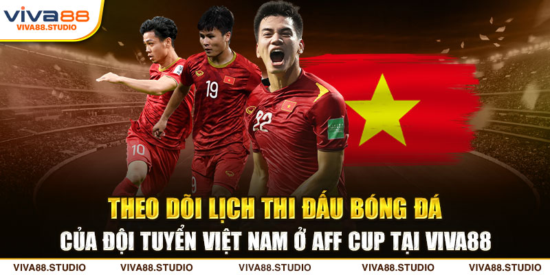 lịch thi đấu bóng đá Việt Nam